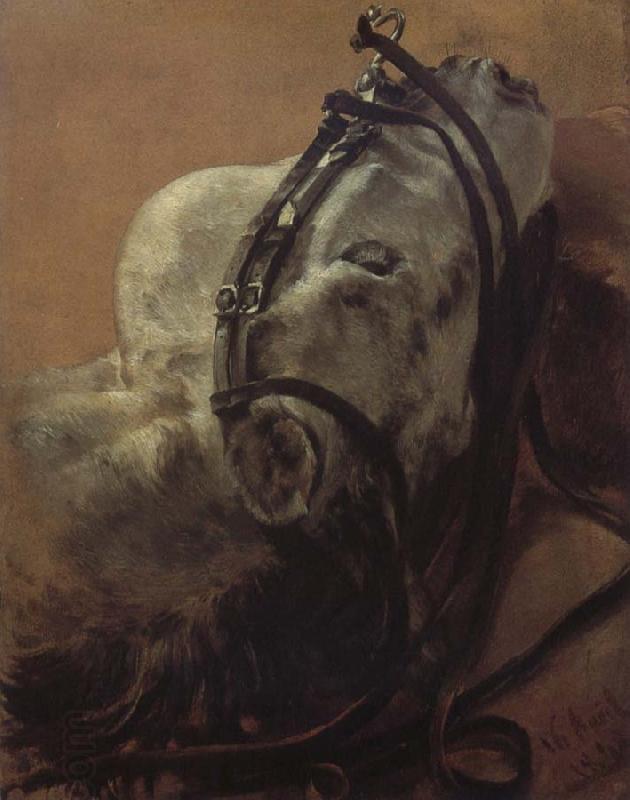 Adolph von Menzel Euine Study,Recumbent Head in Harness China oil painting art